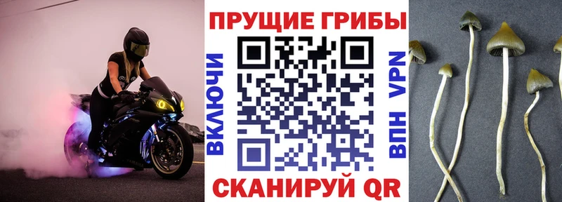 Галлюциногенные грибы MAGIC MUSHROOMS  Купить закладки  Тетюши 